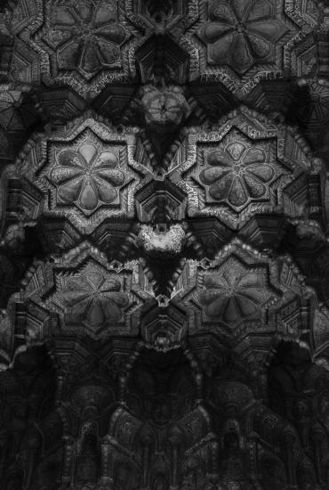 Microscopie. Étude d'une surface